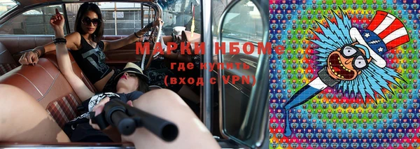 индика Иннополис