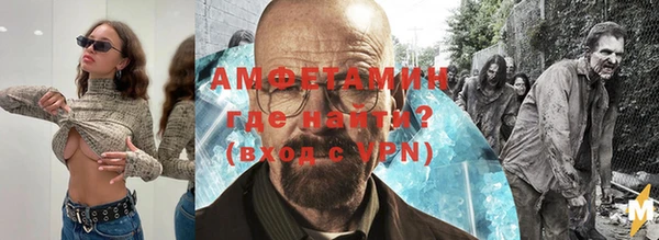 ПСИЛОЦИБИНОВЫЕ ГРИБЫ Инта